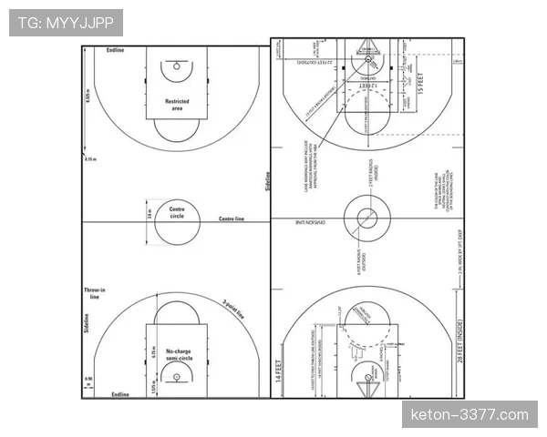 篮球新手指南：快速理解NBA与FIBA的罚球规则核心差异